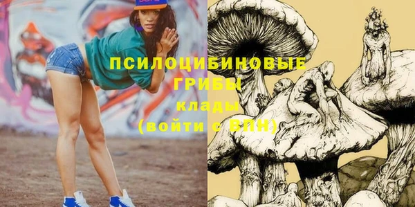дживик Рославль